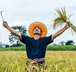 精选每篇内容均从版本变化线索出发，帮助读者建立自己的理解路径。内容，求盟会平台与你一同发现更多精彩。 更新 - 求盟会平台